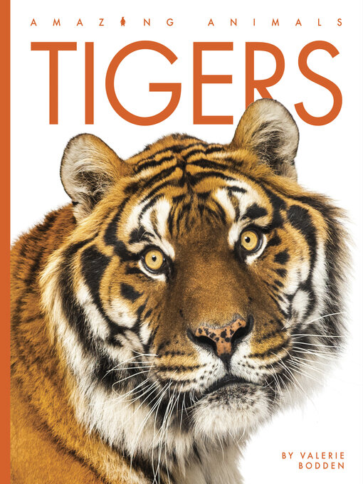 Title details for Tigers by Valerie Bodden - Available